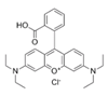 Rhodamine B