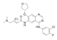 Afatinib