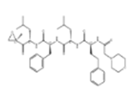 carfilzomib