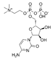 Citicoline